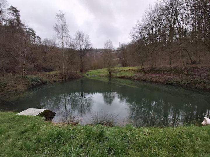 Chalet Ardennais 240 - La Boverie - Rendeux ภายนอก รูปภาพ